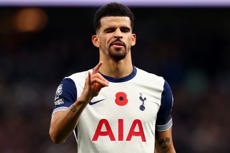 华体会入口-弗兰克：索兰克的脚踝有些小问题，希望国际比赛日之后他能回归